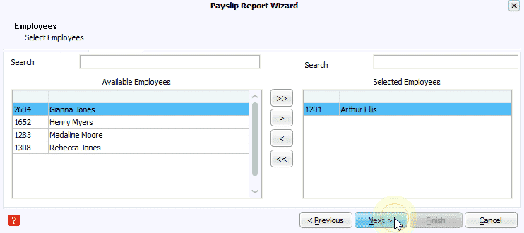 payslip report