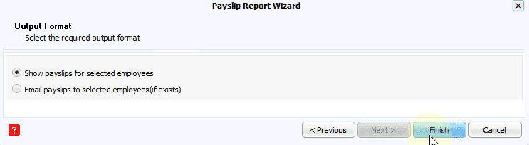 payslip report
